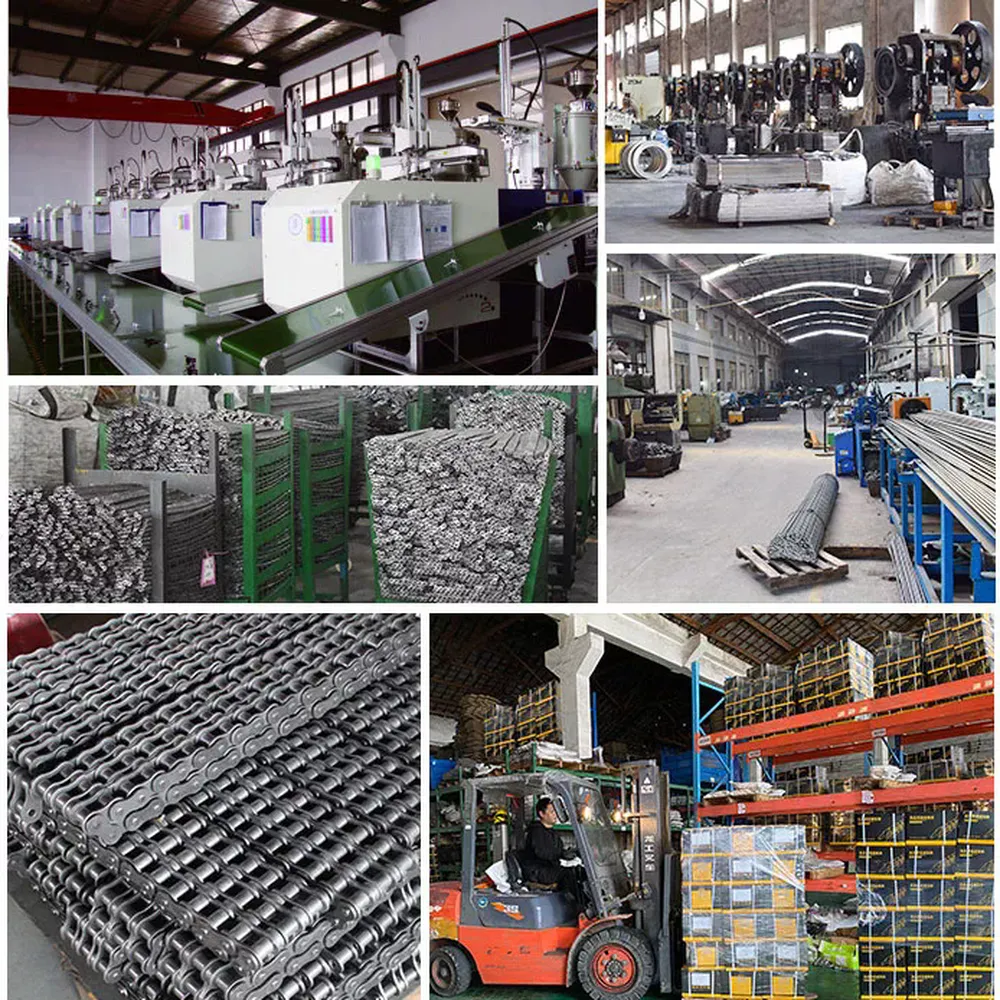 Stainless Steel Roller Chain Suppliers